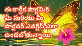 💯❤️ఈ కార్తీక పౌర్ణమికి మీ మరియు మీ పార్టనర్ ఎనర్జీస్ ఎలా వున్నాయితెలుసుకోండి [upl. by Nnitsuj]