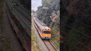 S477 próxima parada Tordera Saludo Hattrick del maquinista 📢 🔊🖐🏻 trains train trainshorts [upl. by Aenehs]