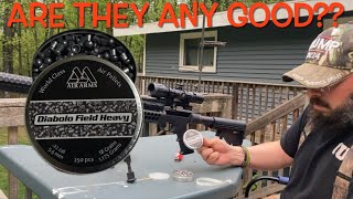 Umarex Notos Testing Air Arms Diabolo Field Heavy 18 Grain [upl. by Donadee]