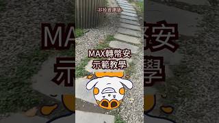 MAX轉幣安怎麼做？加密貨幣轉帳大法告訴你！ft買比特幣挑戰第91天 [upl. by Kermit252]