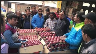 Apple MarketMust Watch how Bidder Takes Highest Bid New Features Live Updates Himalyan Farming [upl. by Heriberto600]