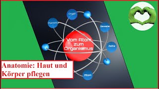 Vom Atom zum Organismus [upl. by Onitram]