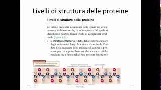 7Macromolecole Biologiche Carboidrati amp Proteine [upl. by Nagoh]