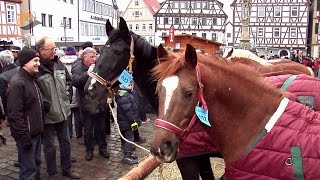 324 Leonberger Pferdemarkt  ausführlicher Bericht  10022015 [upl. by Arotak]