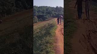 Another clip 🤓 Deras Dam trending nature viralvideo odisha travel [upl. by Girard726]