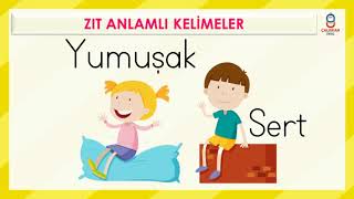 3 SINIF ZIT ANLAMLI KELİMELER [upl. by Auqeenwahs388]