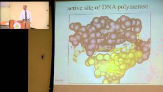 DNA Damage and Repair Pathways [upl. by Parthinia]