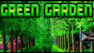 Green Garden Walkthrough  Mirchi Games  Escape Games [upl. by Montfort732]