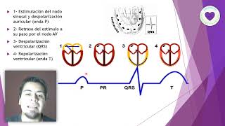 ONDAS DEL ELECTROCARDIOGRAMA [upl. by Ellak620]