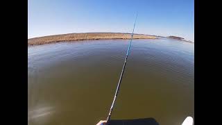 Pamlico sound fishing [upl. by Deacon]