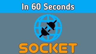 Concept of Socket In 60 Seconds [upl. by Ahseuqram]