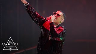 Daddy Yankee  2K20 Live Parte 2 [upl. by Elaine934]