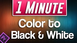 Premiere Pro CC  How to do Color to Black and White Effect [upl. by Latsyrhk]