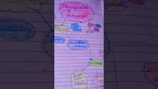 Classification of Industry flow chart class 8th youtubeshort [upl. by Enrica]