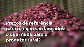 Preços de referência para o feijão são lançados o que muda para o produtor rural [upl. by Neicul]