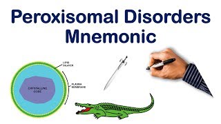 Peroxisomal Disorders Mnemonic Made Easy  USMLE Step COMLEX NCLEX [upl. by Llerdnod]