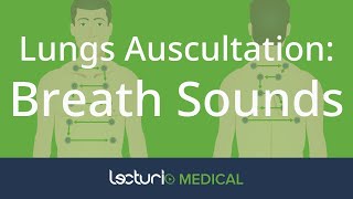 Mastering Lung Auscultation Breath Sounds Explained 🩺 [upl. by Eillen]