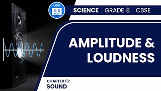 Amplitude and Loudness  Sound  Class 8 Physics Chapter 13 [upl. by Huan]