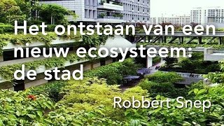 Het ontstaan van een nieuw ecosysteem de stad [upl. by Ainitsirc]