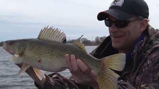 906 Outdoors  Early Spring Walleyes Coon Dog Training [upl. by Enelad]