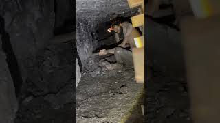 Coal Workers  Underground Mining ⛏️  Miners  Mines  Coal  Safety miners coalmining mining [upl. by Eissac]