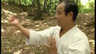 Artes marciales  Karate  Parte 1 de 5 [upl. by Fanestil946]