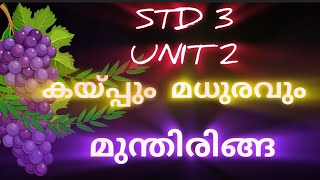 STD 3 മലയാളം UNIT 2 കയ്പ്പും മധുരവും  മുന്തിരിങ്ങ PART 2 202425 Ec Learning ECERC  scert [upl. by Langelo]