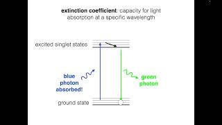 Fluorophore Brightness [upl. by Vincenta]