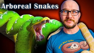 Top 5 Arboreal Snakes That Make GREAT Pets [upl. by Rothstein]