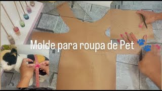 Como tirar as Medidas e Molde para roupa para Pets [upl. by Daughtry719]