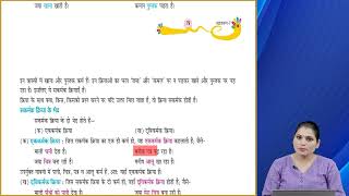 Ch 14  Vyakaran  Class 7  Kriya  For children [upl. by Alic]