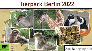 Tierpark Berlin Friedrichsfelde 2022  ZooRundgang 26 [upl. by Nimzzaj]