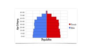 Population Pyramids [upl. by Simona]