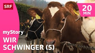 Viehschau statt Schwingen 56  myStory Wir Schwinger 2015  SRF Kids – Kindervideos [upl. by Karame]