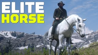 Red Dead Redemption 2 How to Find and Tame an Elite Arabian Horse [upl. by Eekram]