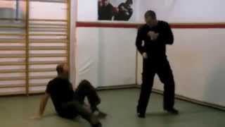 Eyal Yanilov  Head of Krav Maga Global KMG  Krav Maga Demonstration [upl. by Ianej817]