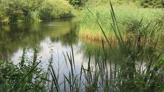 Oostkamp Moerbrugge  Natuurbeleving in de Warandeputten [upl. by Elttil753]