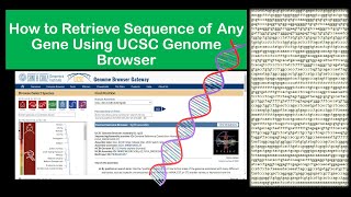 How to Retrieve Sequence of Any Gene of Any Species Using UCSC Genome Browser [upl. by Letnahs112]