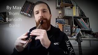 Nantosvelta Eluveitie Evocation 2 II tin whistle Cover [upl. by Sible750]