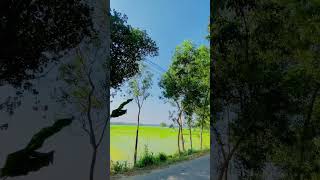 Keeway RKR 165  Bangladesh  shorts viralvideo [upl. by Asusej]