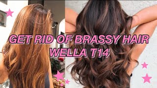 GETTING RID OF ORANGE BRASSY HAIR W WELLA T14  Brunette Hair [upl. by Ramon5]