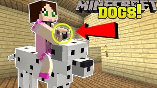 Minecraft TOO MANY DOGS 39 EPIC TYPES OF DOGS Mod Showcase [upl. by Atims]