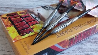 One80 DANIEL ZYGLA  DARTS REVIEWS HD [upl. by Llenil]