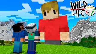 Wild Life SMP  Ep1  THE FIRST WILD CARD [upl. by Electra561]