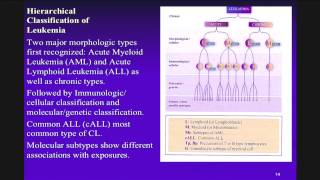 Leukemia Classification  Dr Patricia Buffler [upl. by Breech]