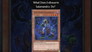 What Does Evilswarm Salamandra Do Yugioh Cards Explained for Easy Deck Building [upl. by Ayak]