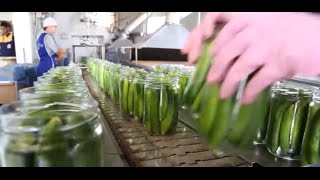 Developing the Lebanese pickles industry [upl. by Akeirahs]