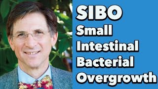 Small Intestinal Bacterial Overgrowth SIBO w Dr Steven SandbergLewis [upl. by Aserehc]