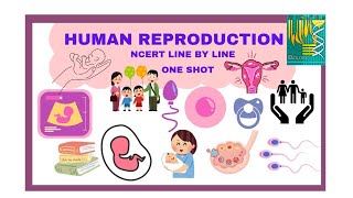 HUMAN REPRODUCTION l NCERT LINE BY LINE l ONE SHOT l NEET QUICK REVISION SERIES l [upl. by Notluf]