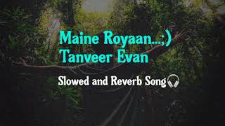 Maine Royaan Slowed And reverb Songplz Use Head phone 🎧😊 [upl. by Eeliah539]